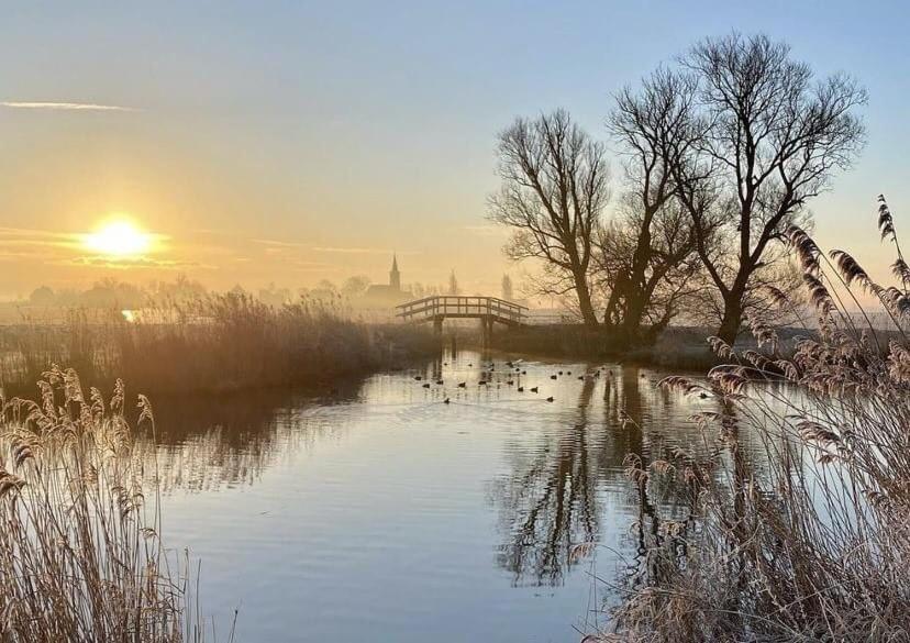 Chalet De Huismus Rijs Dış mekan fotoğraf